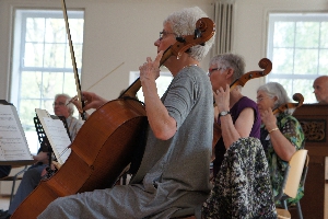 celliste in workshop