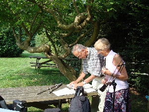 Muziek uitwisselen in de zon
