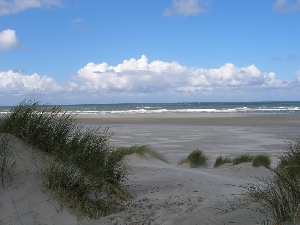 pagina 8 - terschelling