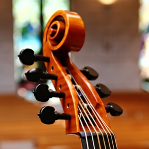 viola_da_gamba