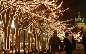 kerst lichtjes