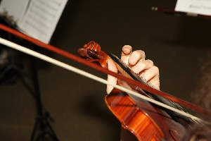violist