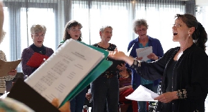 De ziel van het stadse lied1